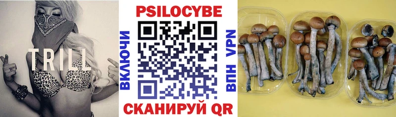 Псилоцибиновые грибы Magic Shrooms  ОМГ ОМГ зеркало  Южа 